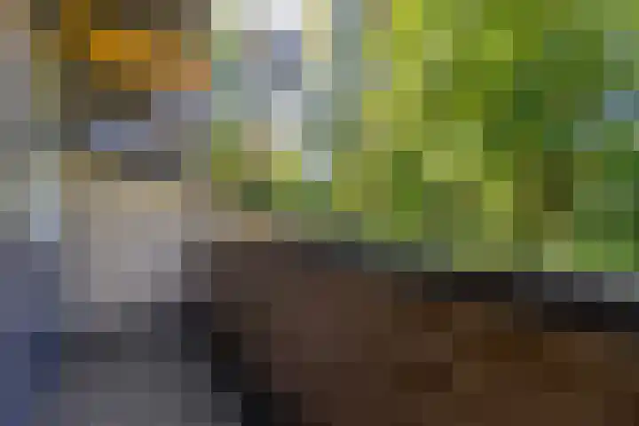 Thijsselaan 11 Wageningen thumbnail 28