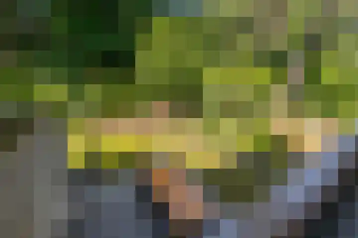 Thijsselaan 11 Wageningen thumbnail 29