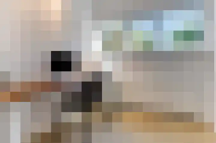 Thijsselaan 11 Wageningen thumbnail 32