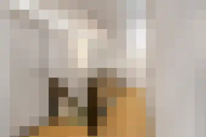 Thijsselaan 11 Wageningen thumbnail 41