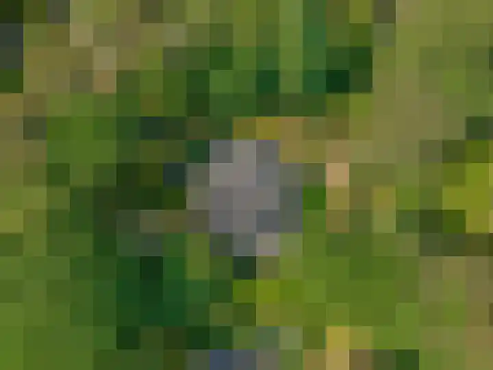 Thijsselaan 11 Wageningen thumbnail 42