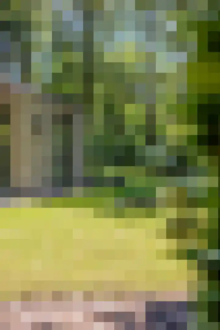 Thijsselaan 11 Wageningen thumbnail 46