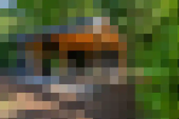 Thijsselaan 11 Wageningen thumbnail 47