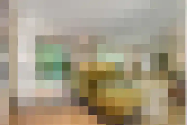 Thijsselaan 11 Wageningen thumbnail 5