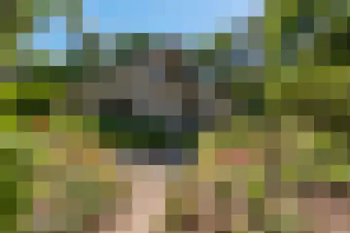 Thijsselaan 11 Wageningen thumbnail 50