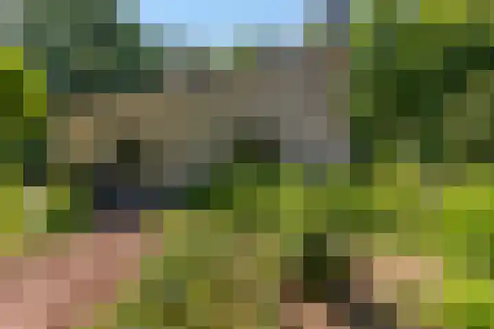 Thijsselaan 11 Wageningen thumbnail 51