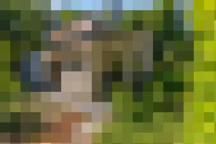 Thijsselaan 11 Wageningen thumbnail 52