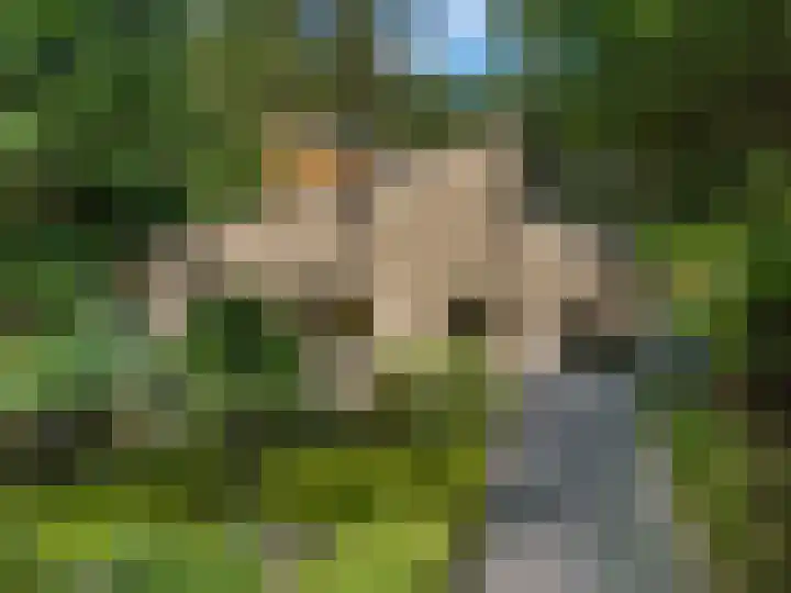 Thijsselaan 11 Wageningen thumbnail 53