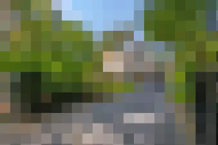 Thijsselaan 11 Wageningen thumbnail 56