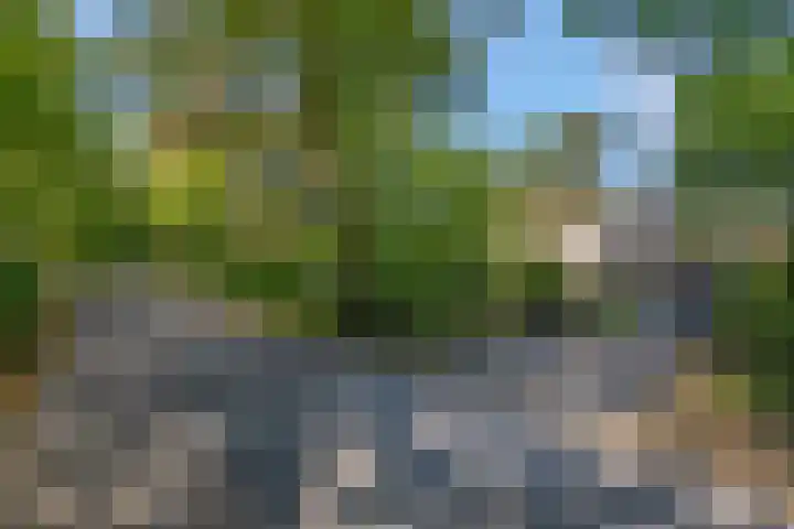 Thijsselaan 11 Wageningen thumbnail 57