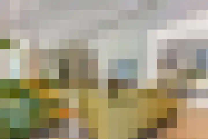 Thijsselaan 11 Wageningen thumbnail 6
