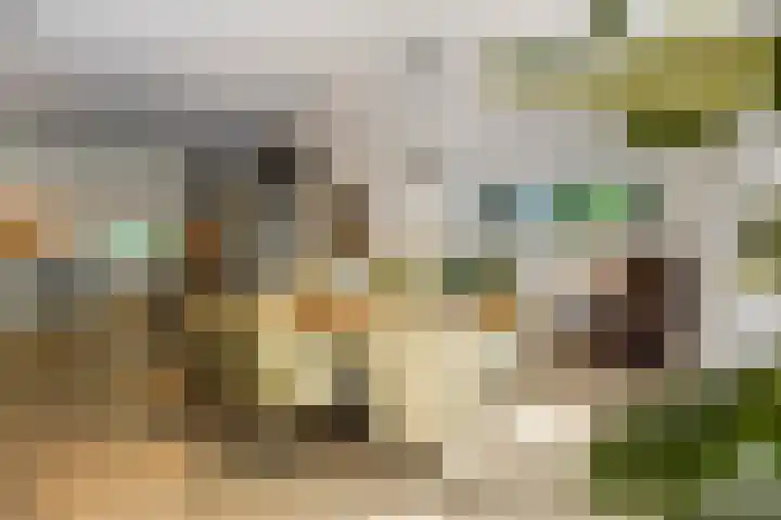 Thijsselaan 11 Wageningen thumbnail 7