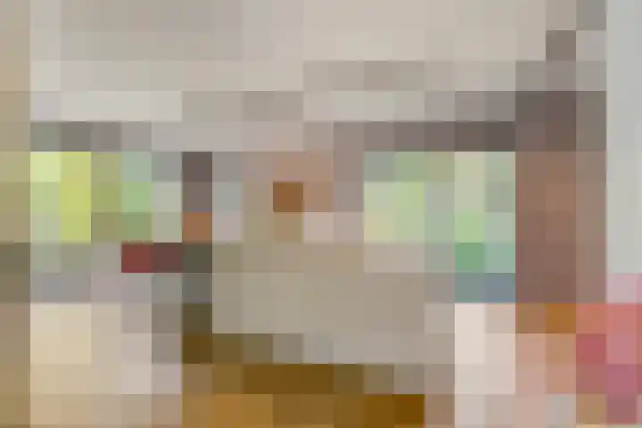 Thijsselaan 11 Wageningen thumbnail 9