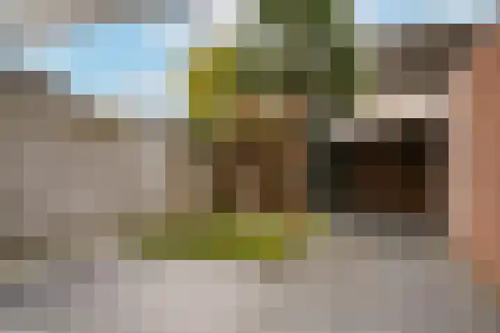 Thijsselaan 25 Culemborg thumbnail 36