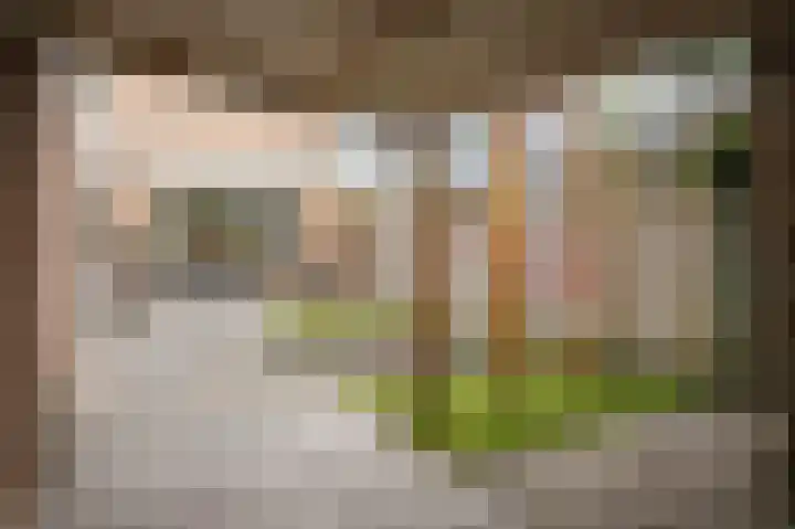 Thijsselaan 25 Culemborg thumbnail 37