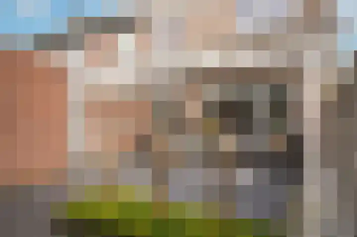 Thijsselaan 25 Culemborg thumbnail 4