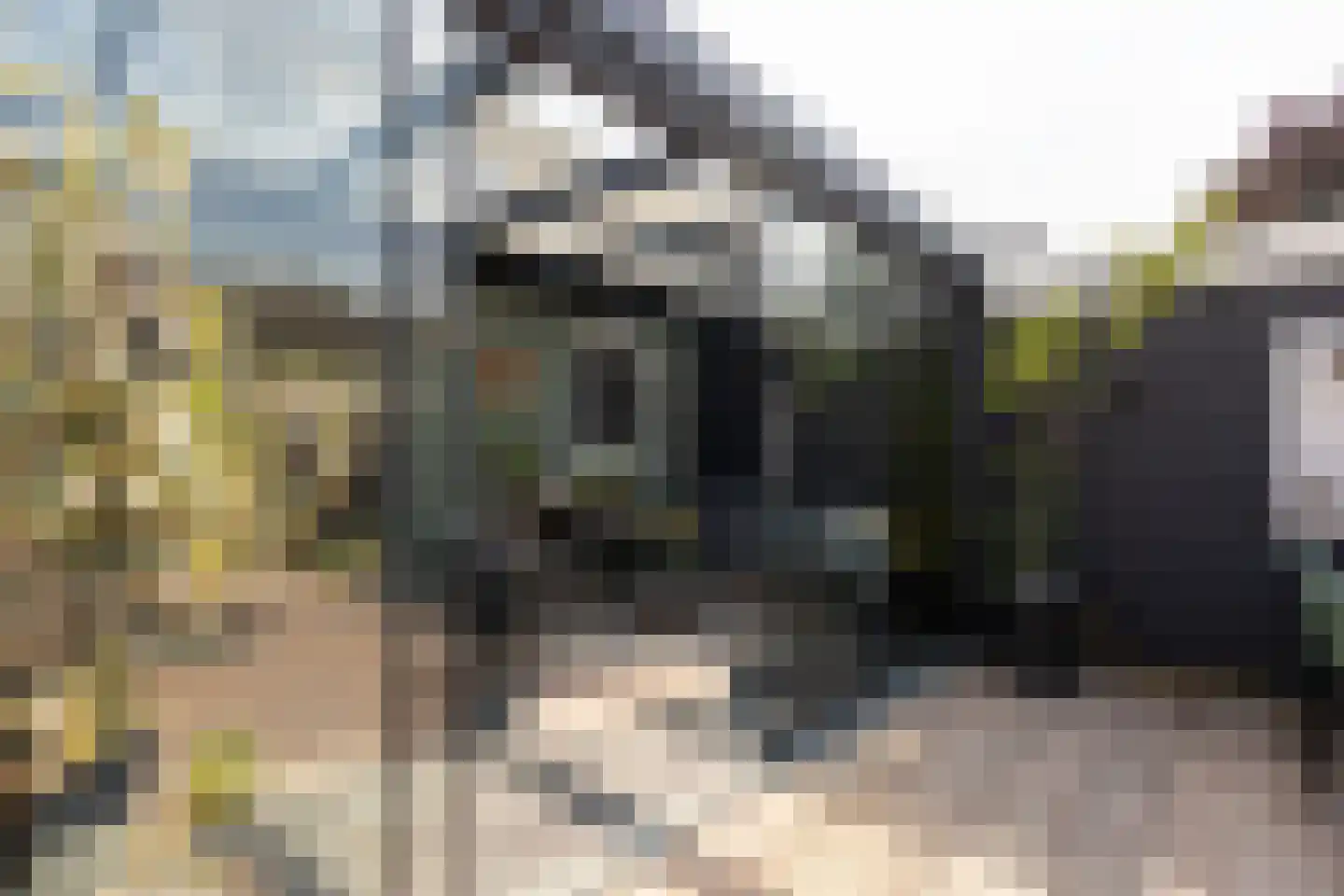 Thijsselaan 31 Culemborg thumbnail 28