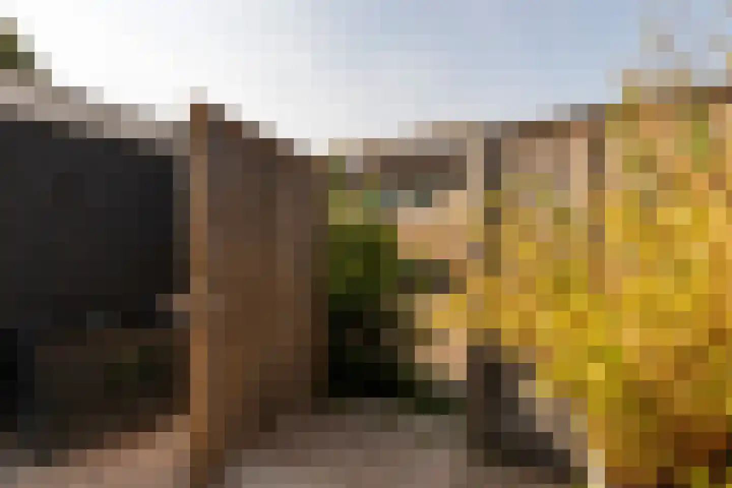 Thijsselaan 31 Culemborg thumbnail 35