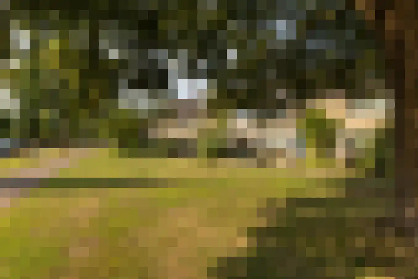 Thijsselaan 31 Culemborg thumbnail 5