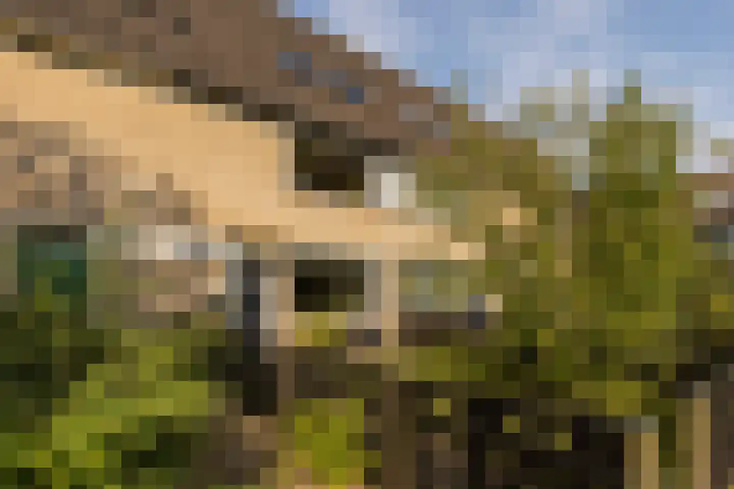 Thijsselaan 31 Culemborg thumbnail 7