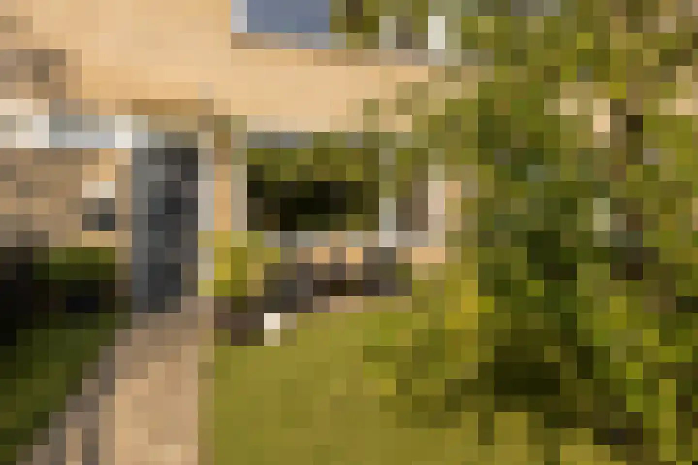 Thijsselaan 31 Culemborg thumbnail 8