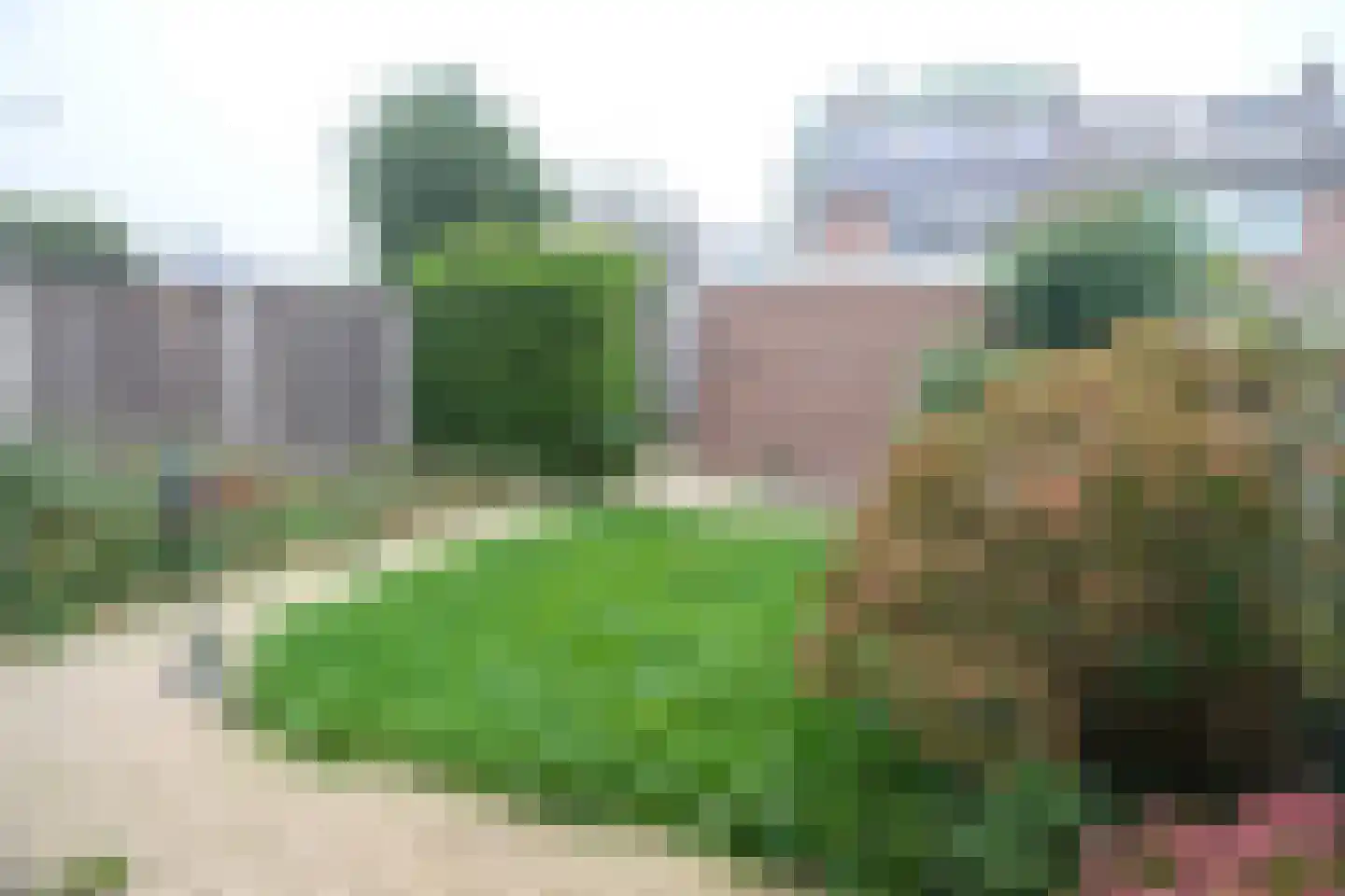 Thijsselaan 50 Culemborg thumbnail 13