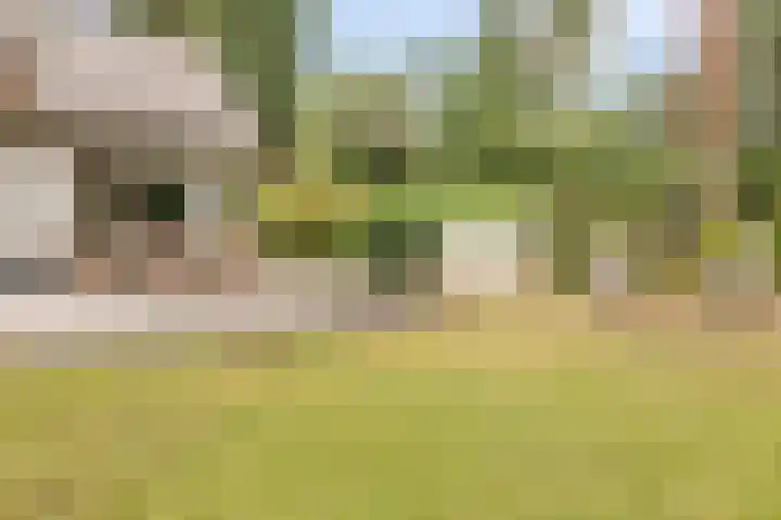 Thijsselaan 54 Wageningen thumbnail 74