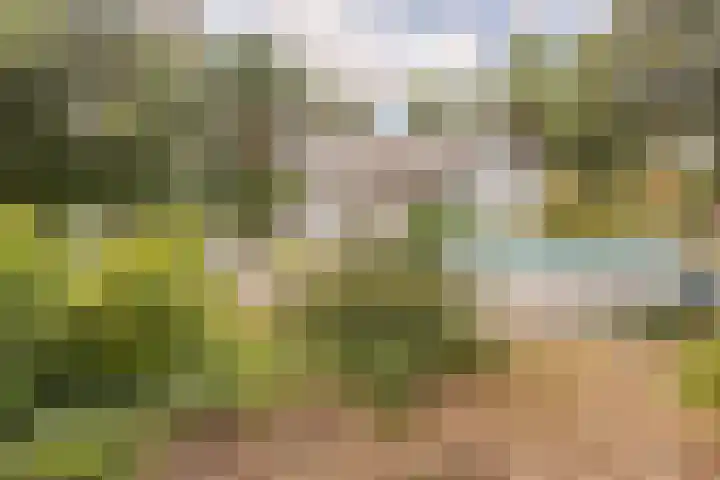 Thijsselaan 54 Wageningen thumbnail 77