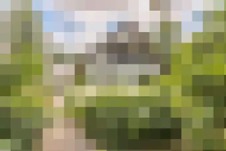 Thijsselaan 54 Wageningen thumbnail 78