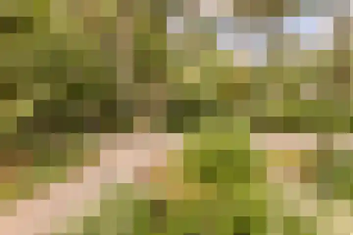 Thijsselaan 54 Wageningen thumbnail 80