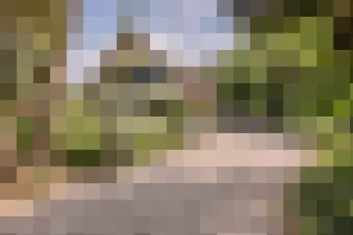 Thijsselaan 54 Wageningen thumbnail 85
