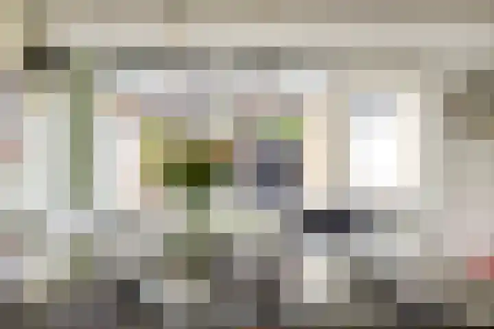 Thijsselaan 73 Culemborg thumbnail 18
