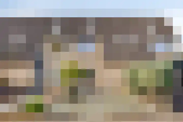 Thijsselaan 73 Culemborg thumbnail 36