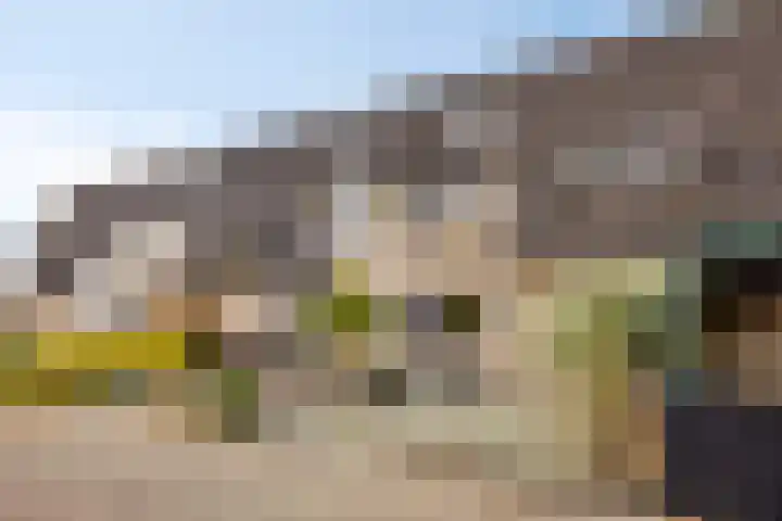 Thijsselaan 73 Culemborg thumbnail 37
