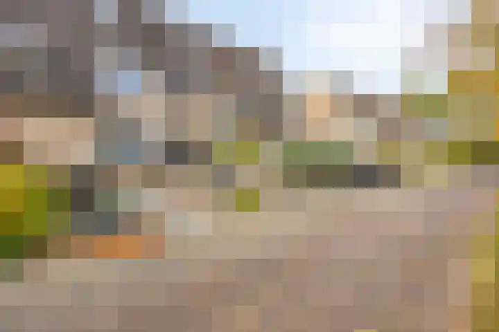 Thijsselaan 73 Culemborg thumbnail 39