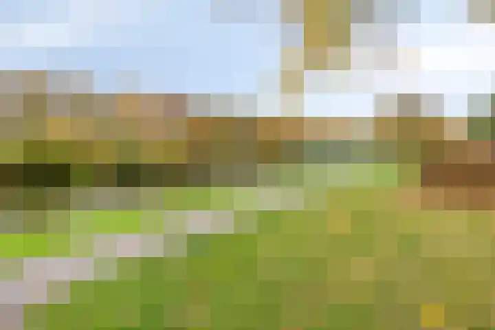 Thijsselaan 73 Culemborg thumbnail 41