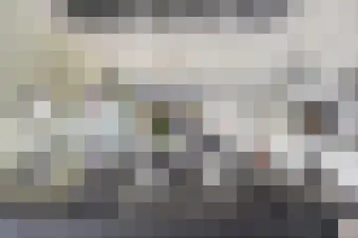 Thijsselaan 73 Culemborg thumbnail 9