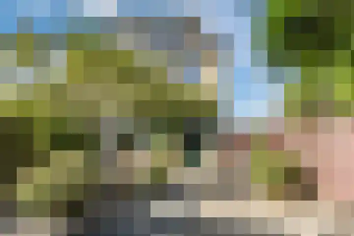 Thijsselaan 76 Culemborg thumbnail 29