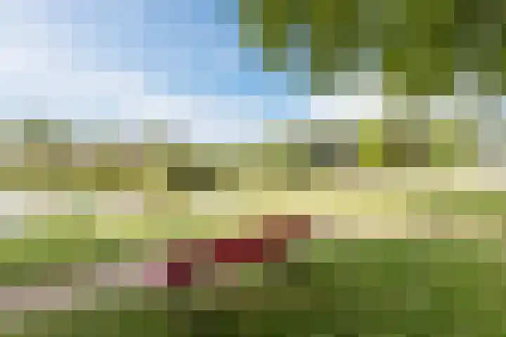 Thijsselaan 76 Culemborg thumbnail 30