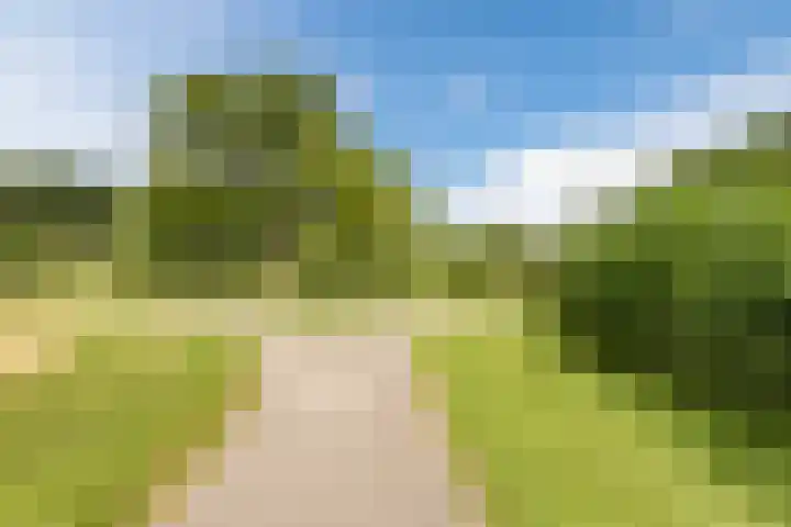 Thijsselaan 76 Culemborg thumbnail 31