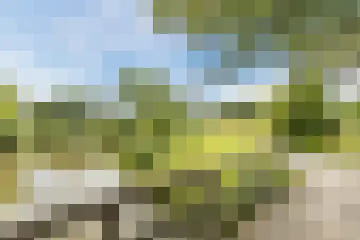 Thijsselaan 76 Culemborg thumbnail 32