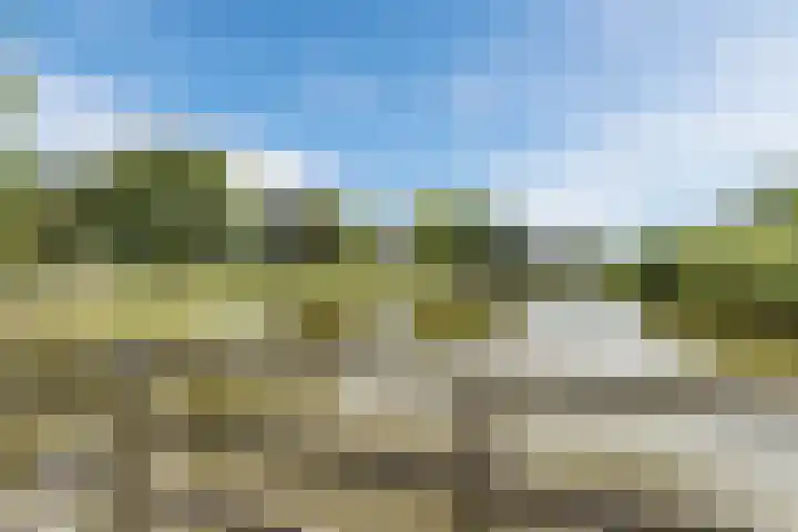 Thijsselaan 76 Culemborg thumbnail 4