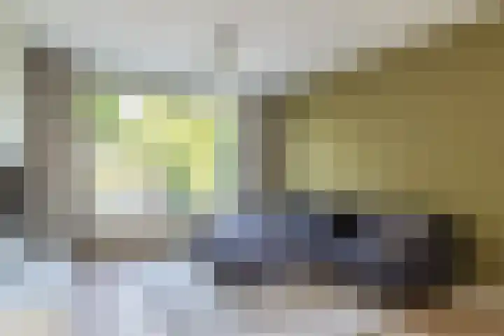 Thijsselaan 76 Culemborg thumbnail 7
