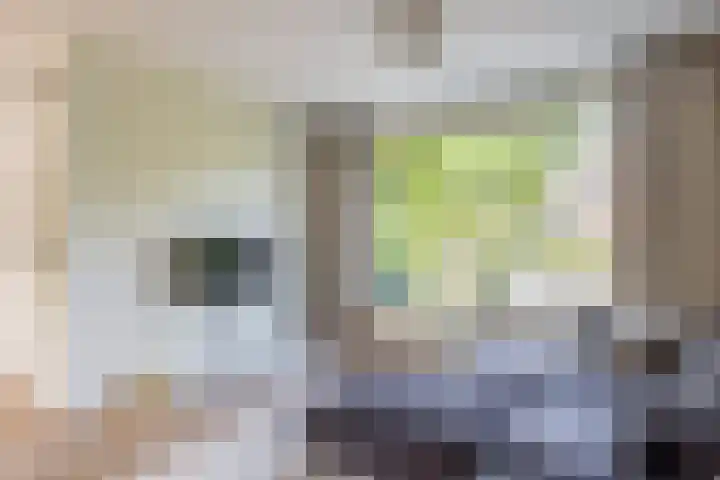 Thijsselaan 76 Culemborg thumbnail 8
