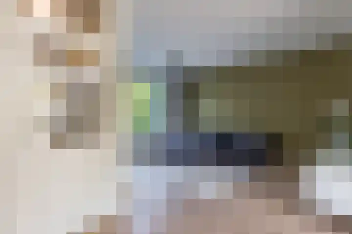 Thijsselaan 76 Culemborg thumbnail 9
