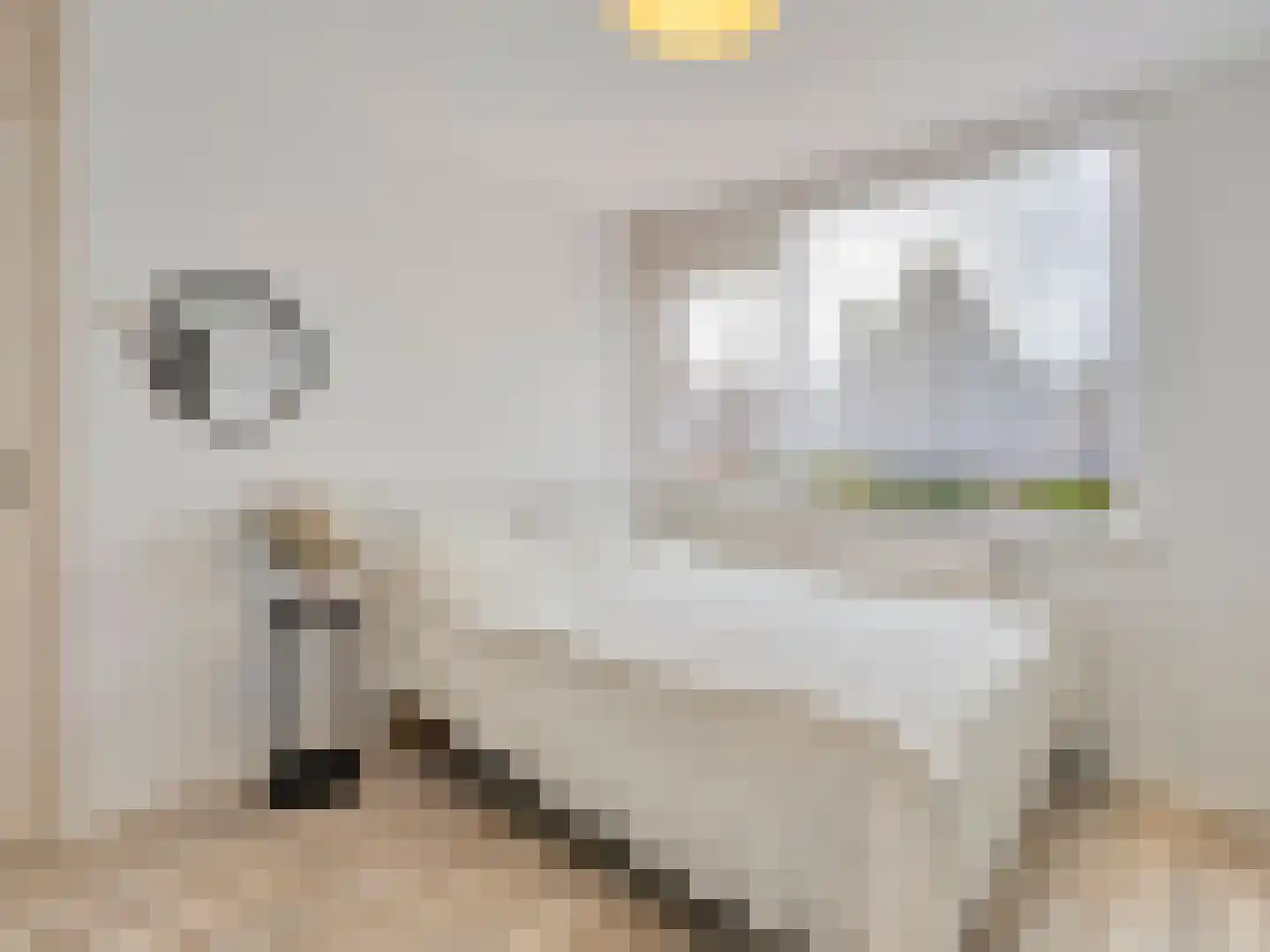 Thijsselaan 78 Culemborg thumbnail 18