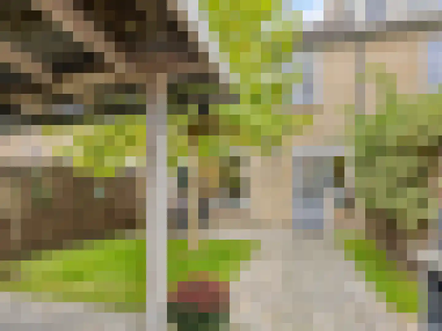 Thijsselaan 78 Culemborg thumbnail 31
