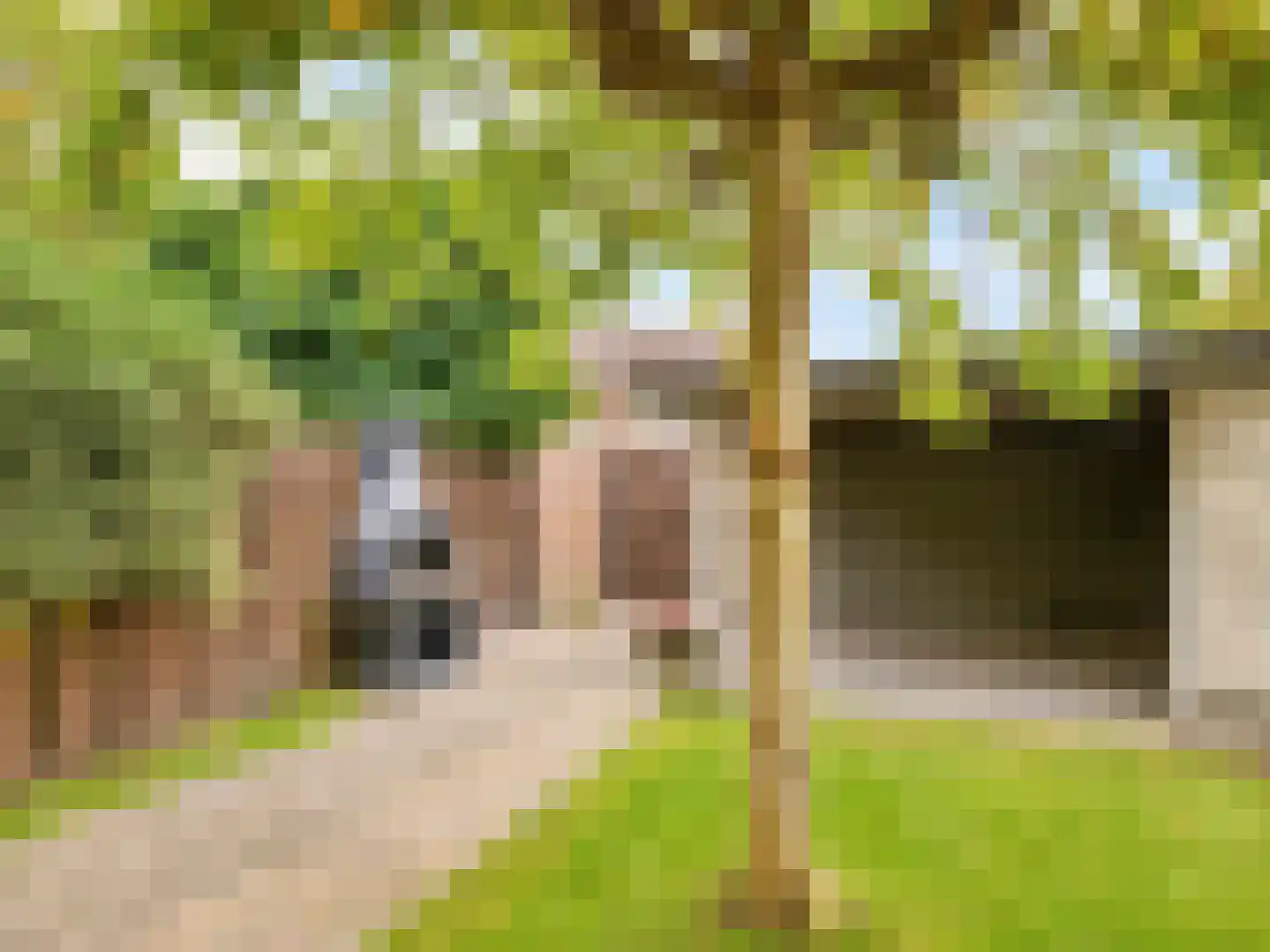 Thijsselaan 78 Culemborg thumbnail 33