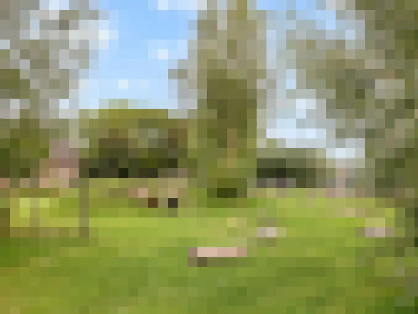 Thijsselaan 78 Culemborg thumbnail 41