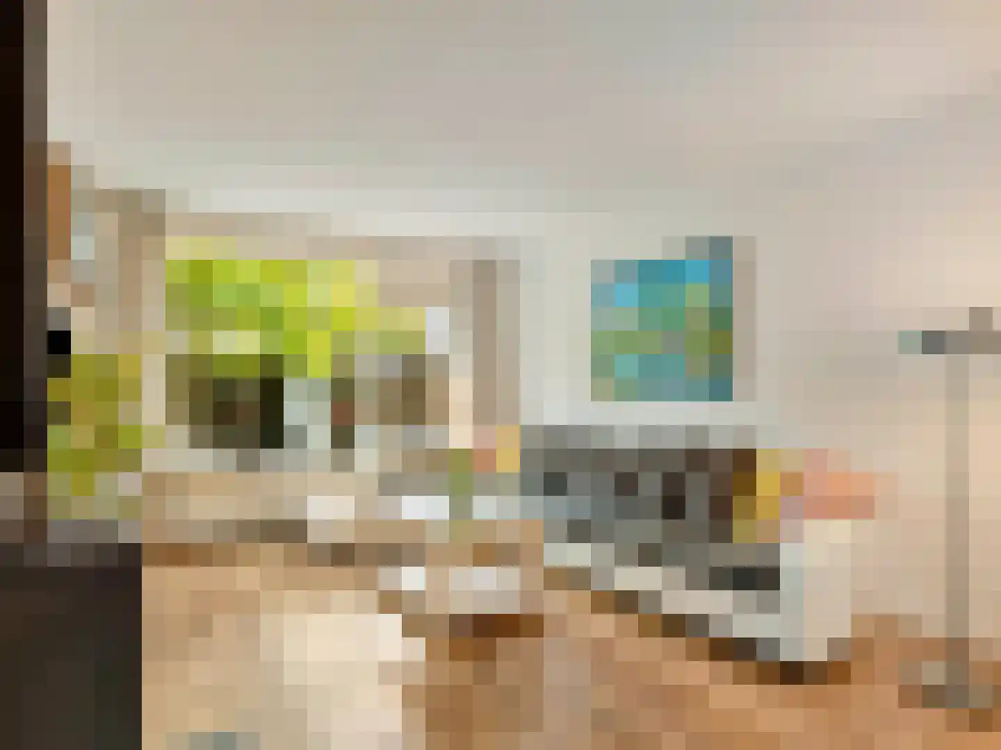 Thijsselaan 78 Culemborg thumbnail 6